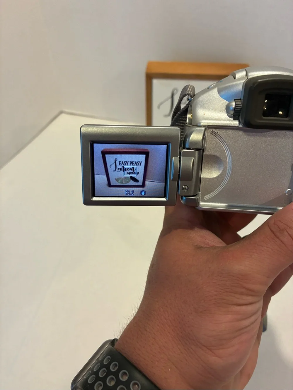 Canon PowerShot S2 IS Silver Digital Camera